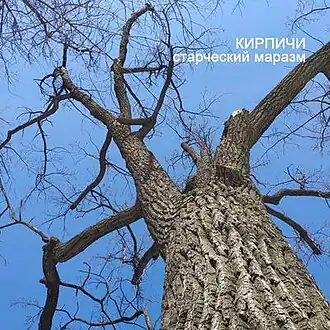 Обложка альбома Кирпичи «Старческий маразм» (2021)