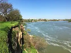 Обрывистый берег Кубани под Краснодаром