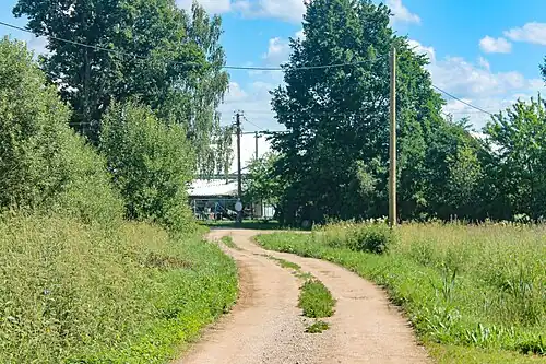 Центральная дорога Овиновичей — Озёрная улица, вид с запада