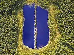 Бучкино болото с высоты