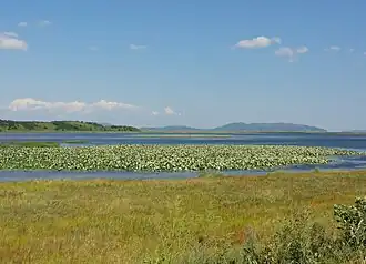 Вид на озеро осенью 2015 года