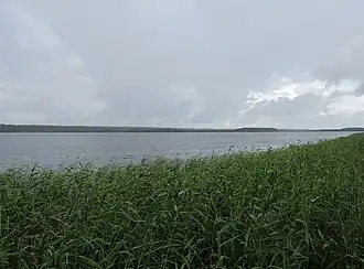 Вид на Падозеро летом 2017 года