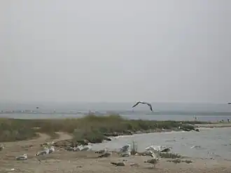 Вид на озеро с северо-востока