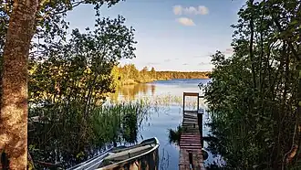 Вид на озеро Сарыйярви 20 июня 2022 года