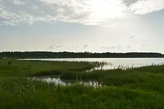 Озеро Валдайское, май 2015 год