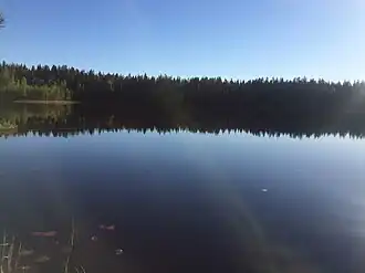 Южный берег западного плёса.