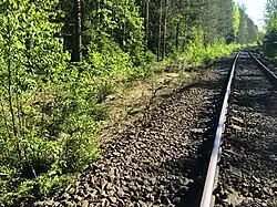 Разобранный боковой путь. Вид в сторону Лоймолы.