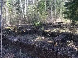 Фундамент бывшего вокзала.