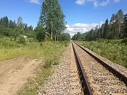 Вид в сторону ст. Ляскеля.