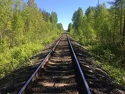 Вид в сторону ст. Пийтсиёки.