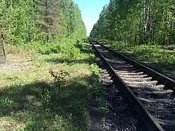 Заросший перрон.