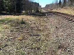 Разобранный боковой путь. Вид в сторону ст. Бородинское.