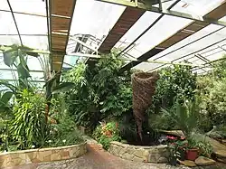 В оранжерее