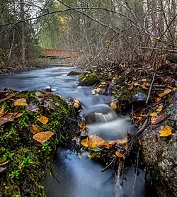 Осень на Киваче