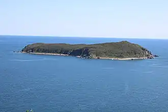 Остров Моисеева