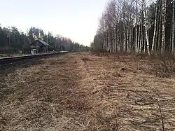 Разобранные боковые пути. Вид в сторону ст. Яккима.