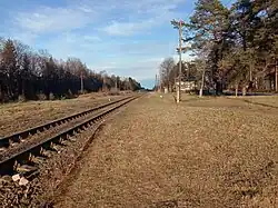 Западная багажная платформа.