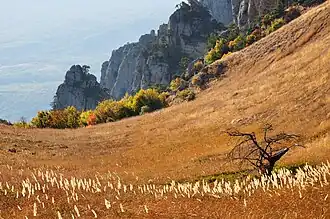 Верхнее плато