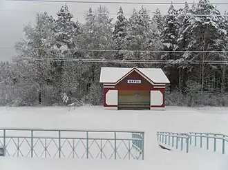 Вид на платформу с окна электропоезда