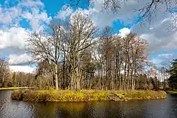 Южная оконечность острова. Фото 2021 г.