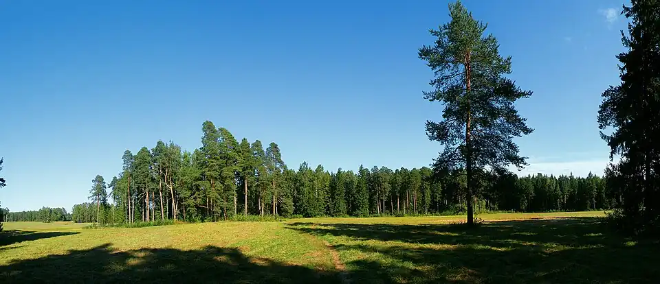 «Самое красивое место»