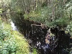 Вид против течения