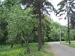 Уютная аллея.