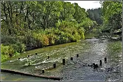 Нижнее течение Пекши близ одноимённой деревни осенью 2010 года