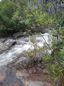 Перекат на Туюне