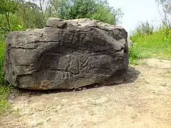 Мамонт и шерстистый носорог