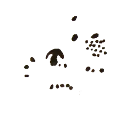 Задняя стена пещеры