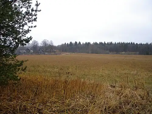 Деревня Питкелево со стороны поля