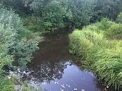 Вид против течения