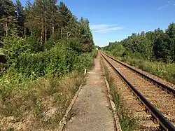 Вид в сторону ст. Салми.