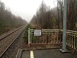 Вид в сторону ст. Прибылово.