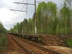 Платформа, вид в сторону  ст. Невская Дубровка