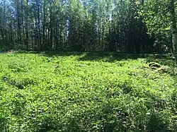 Урочище Тервасало.