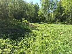 Насыпь бывшего подъездного  пути.