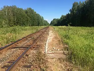 Вид в сторону ст. Олонец