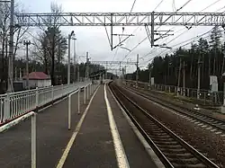 Вид в сторону ст. Рощино.