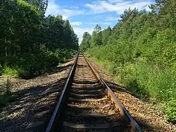 Вид в сторону ст. Леппясилта.