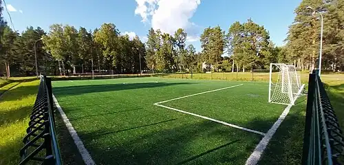 Футбольная площадка в Подосиновском парке