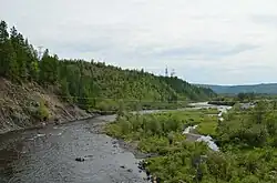 Река около устья. Вид вниз по течению с моста Разрезовской улицы в городе Нерюнгри