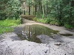 Пересохшая речка Шитка, обычно вытекающая из Чёрного озера