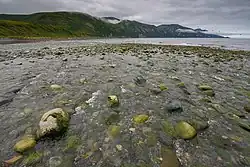 мыс Плоский