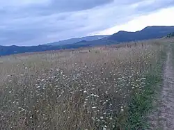 Поля на южной стороне села Калининаул