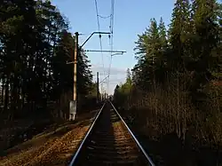 Участок 2 платформа — 1 платформа, вид в сторону Вырицы