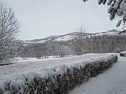 После снегопада в ноябре 2011