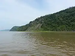 Правый берег Амура