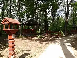 На террасах Воробьёвых гор